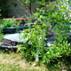 Image for article titled Two Years and 180 Cars Later, Michigan Man Forced to Sell 20 Cars A Month Has Eight Days To Clear His Lot